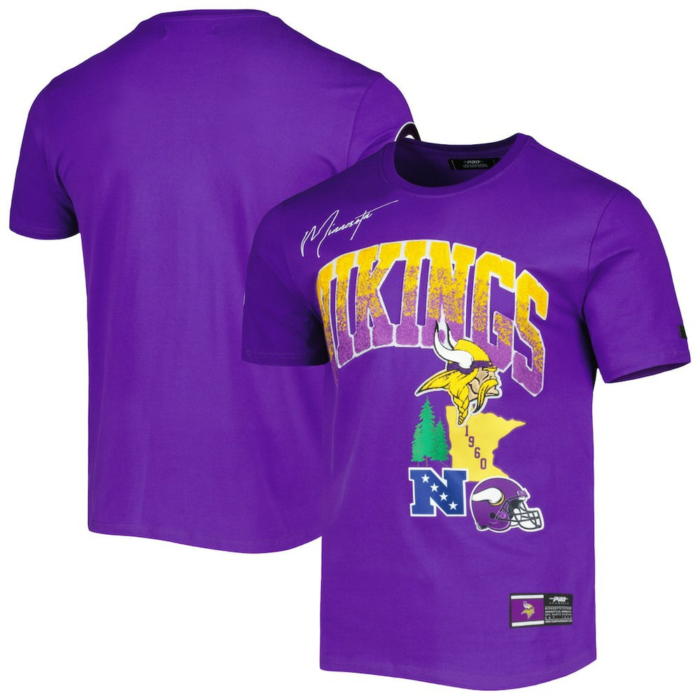Pro Standard Hometown Collection T-Shirt - Minnesota Vikings