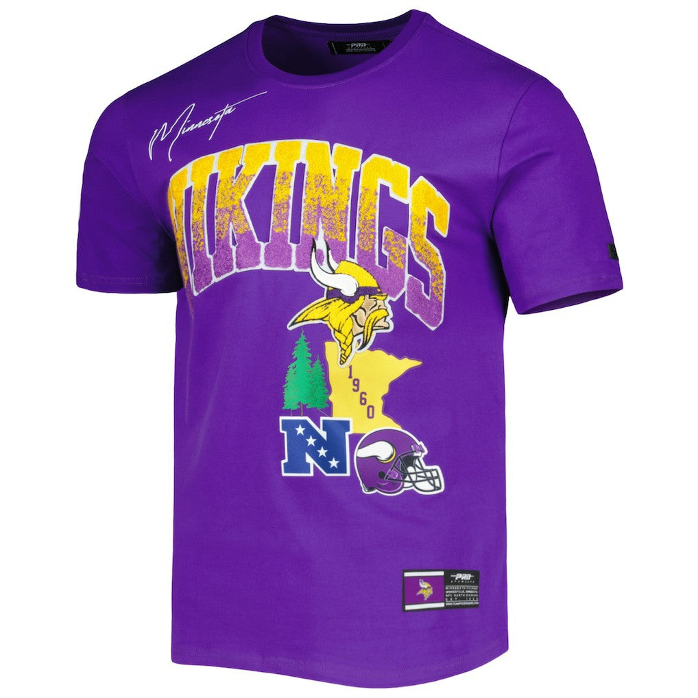 Pro Standard Hometown Collection T-Shirt - Minnesota Vikings