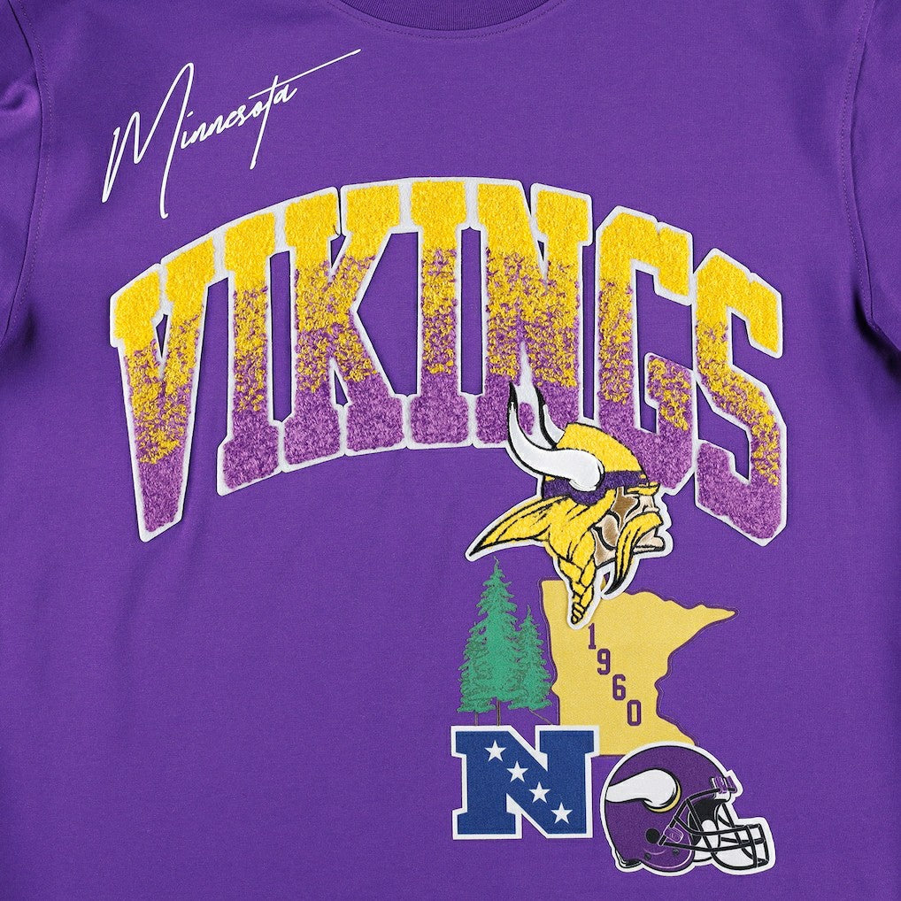 Pro Standard Hometown Collection T-Shirt - Minnesota Vikings