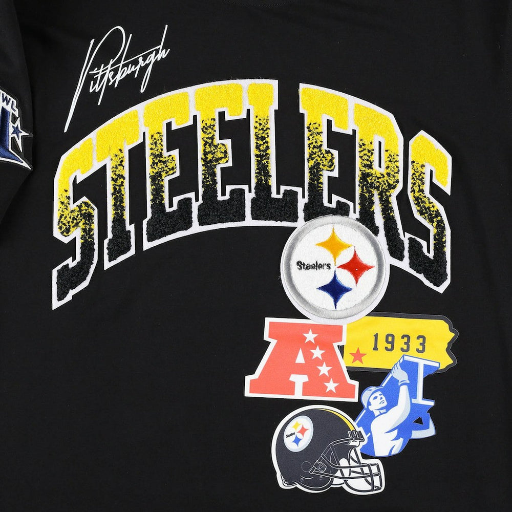 Pro Standard Hometown Collection T-Shirt - Pittsburgh Steelers