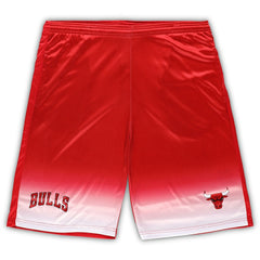 NBA Chicago Bulls Big & Tall Fadeaway Shorts