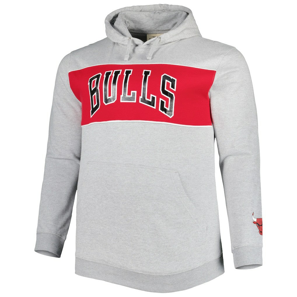 NBA Chicago Bulls Big & Tall Wordmark Pullover Hoodie sale