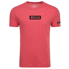 NBA Chicago Bulls Sportiqe Unisex 1966 Collection Comfy Tri-Blend T-Shirt sale