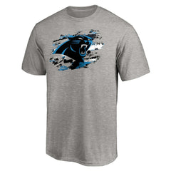 True Color T-Shirt - Carolina Panthers