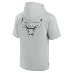 NBA Chicago Bulls Unisex Elements Super Soft Fleece Short Sleeve Pullover Hoodie sale