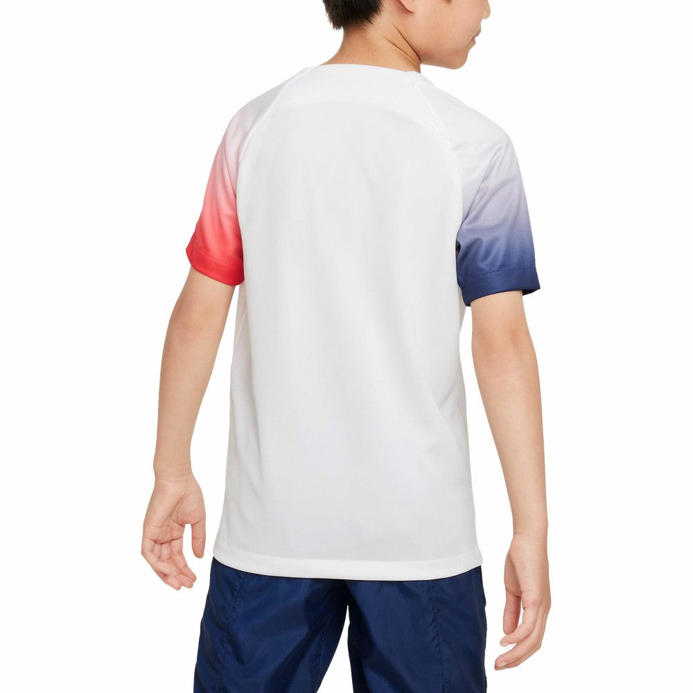 Paris Saint-Germain Youth 2023/24 Academy Pro Performance Pre-Match Top - Nike White