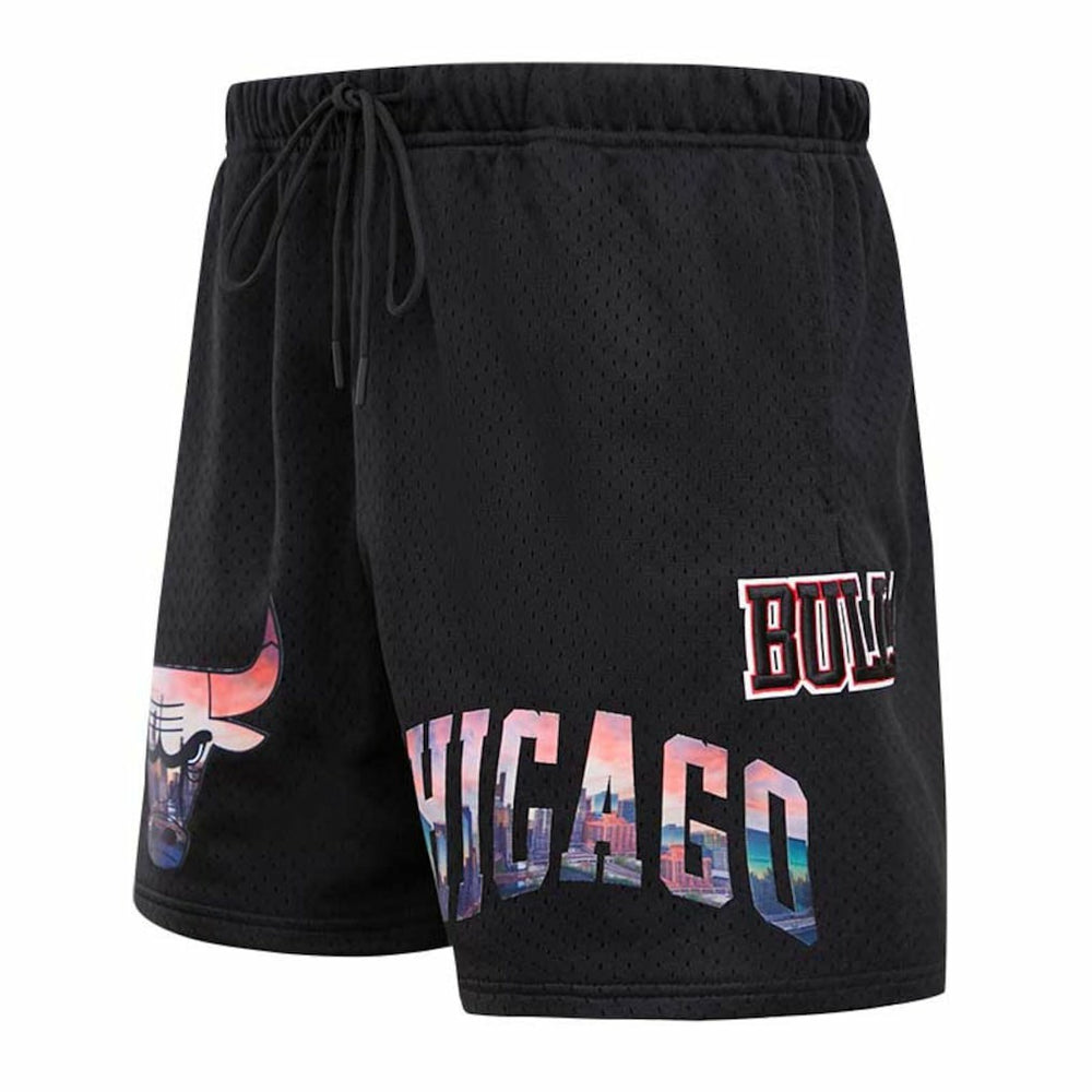 NBA Chicago Bulls Pro Standard City Scape Mesh Shorts