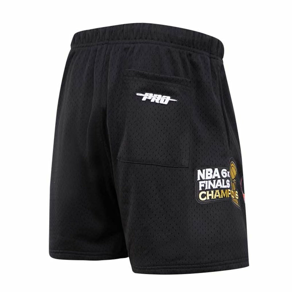 NBA Chicago Bulls Pro Standard City Scape Mesh Shorts