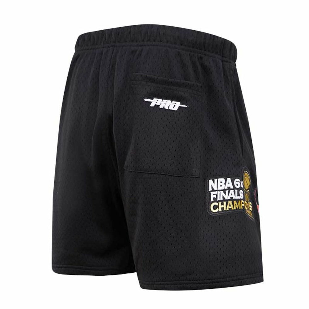 NBA Chicago Bulls Pro Standard City Scape Mesh Shorts