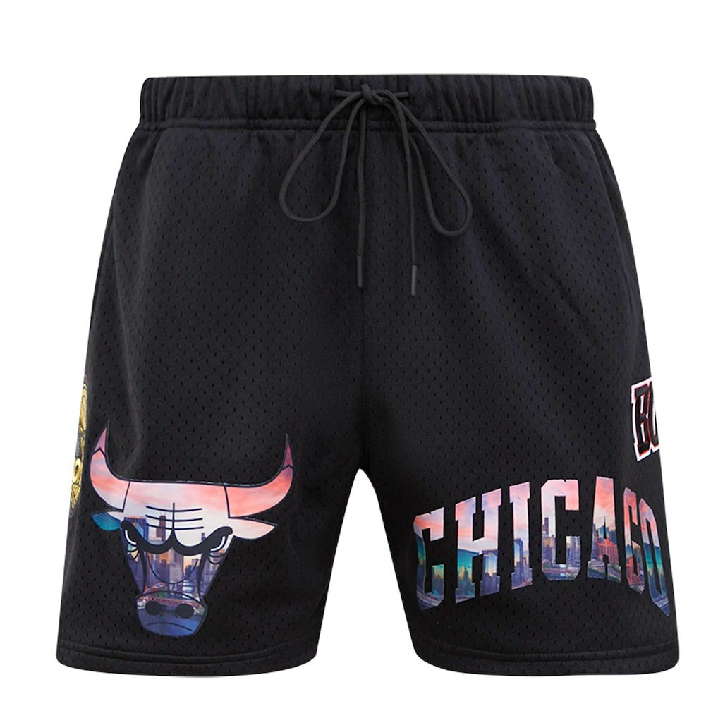 NBA Chicago Bulls Pro Standard City Scape Mesh Shorts