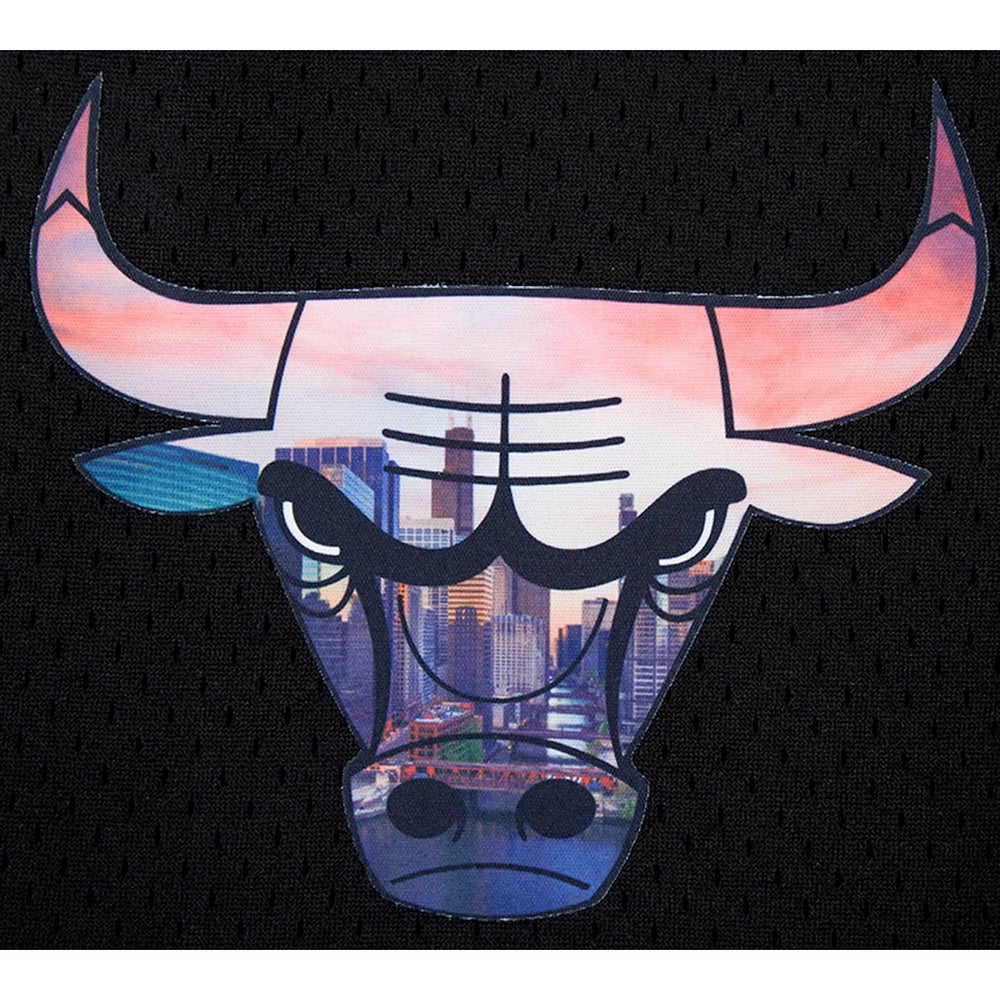 NBA Chicago Bulls Pro Standard City Scape Mesh Shorts