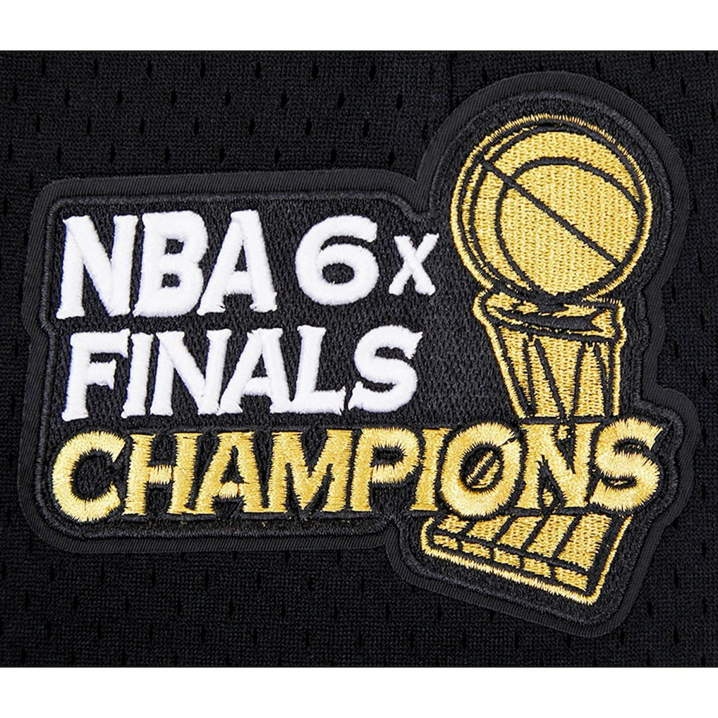 NBA Chicago Bulls Pro Standard City Scape Mesh Shorts
