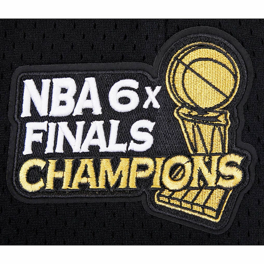 NBA Chicago Bulls Pro Standard City Scape Mesh Shorts