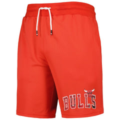 NBA Chicago Bulls Tommy Jeans Mike Mesh Basketball Shorts