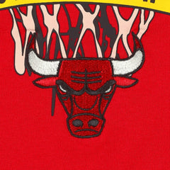 NBA Chicago Bulls Tommy Jeans Tim Backboard T-Shirt sale