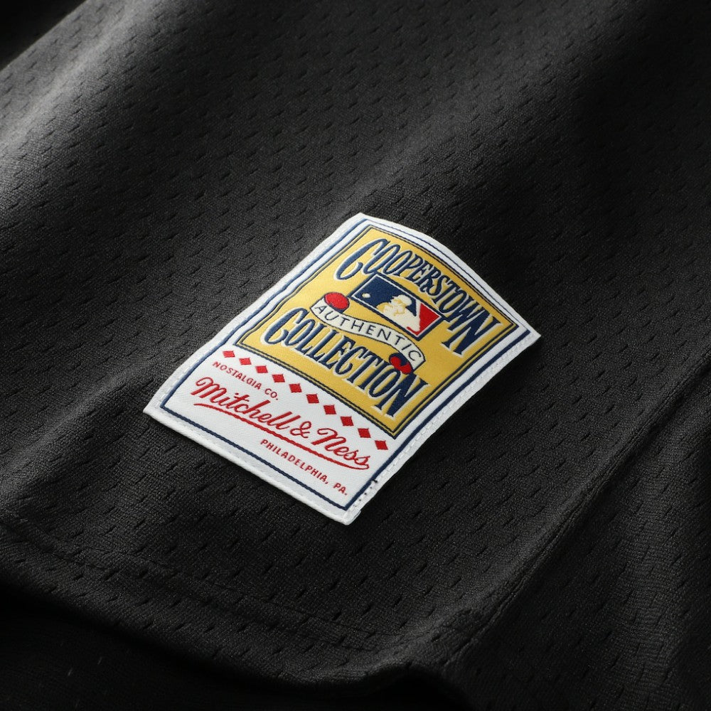 MLB Craig Biggio Houston Astros Mitchell & Ness Authentic Batting Practice Jersey