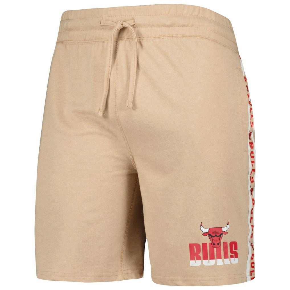 NBA Chicago Bulls Concepts Sport Team Stripe Shorts