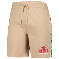 NBA Chicago Bulls Concepts Sport Team Stripe Shorts