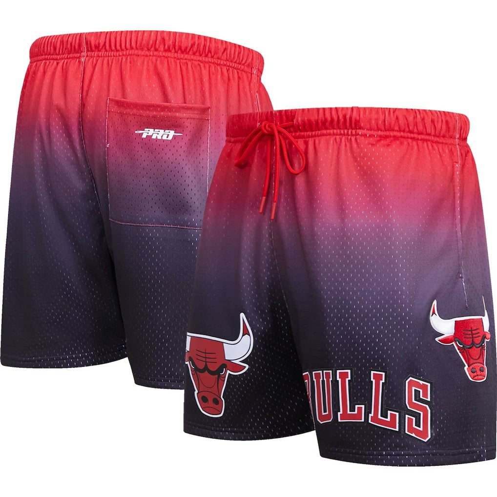 NBA Chicago Bulls Pro Standard Ombre Mesh Shorts