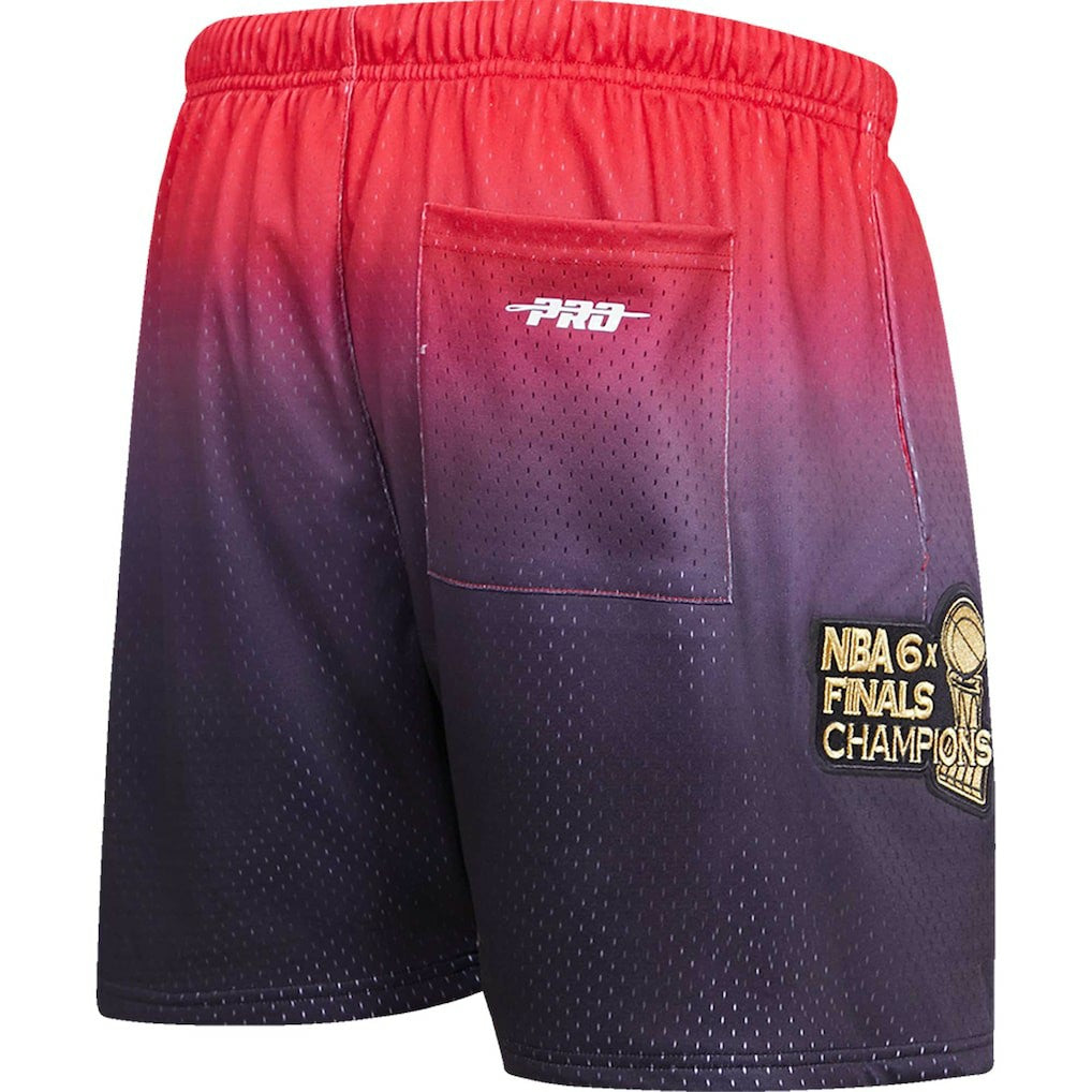 NBA Chicago Bulls Pro Standard Ombre Mesh Shorts