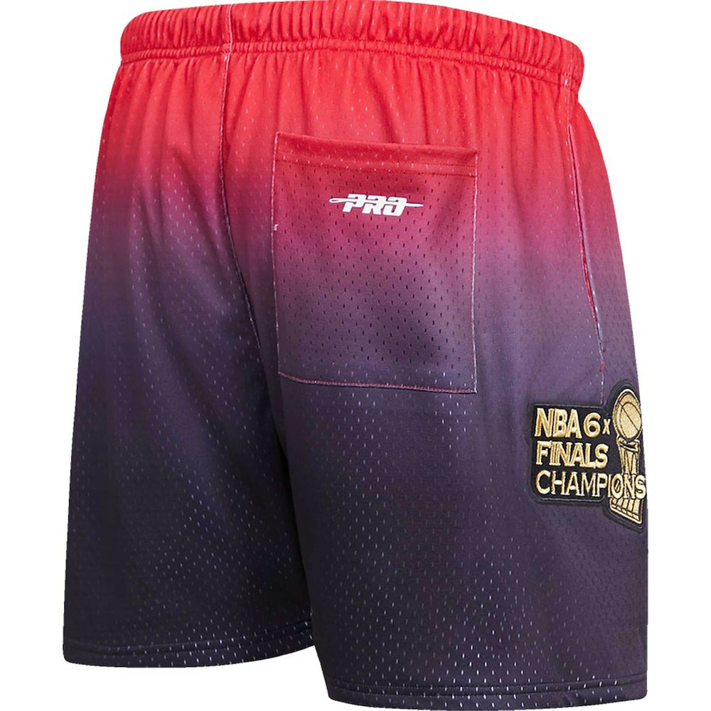 NBA Chicago Bulls Pro Standard Ombre Mesh Shorts