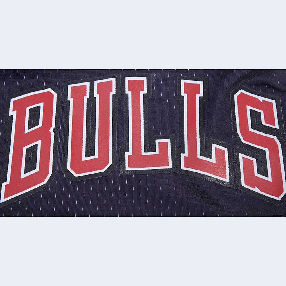 NBA Chicago Bulls Pro Standard Ombre Mesh Shorts