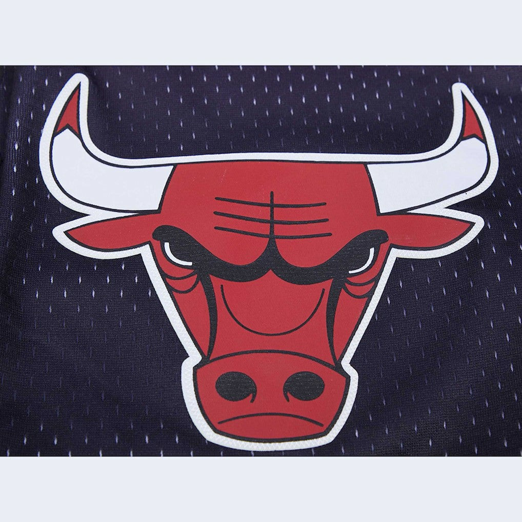 NBA Chicago Bulls Pro Standard Ombre Mesh Shorts