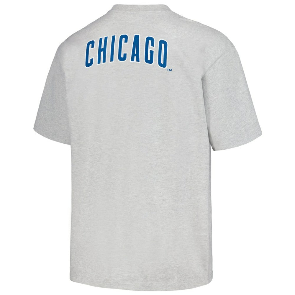 MLB Chicago Cubs PLEASURES Mascot T-Shirt