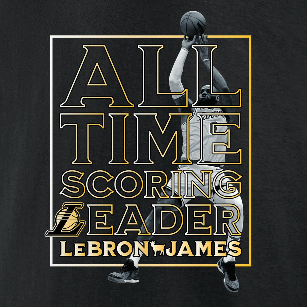 NBA LeBron James Los Angeles Lakers