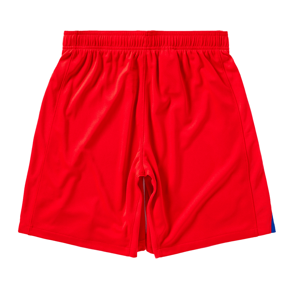 PSG Third Soccer Shorts 2025/26