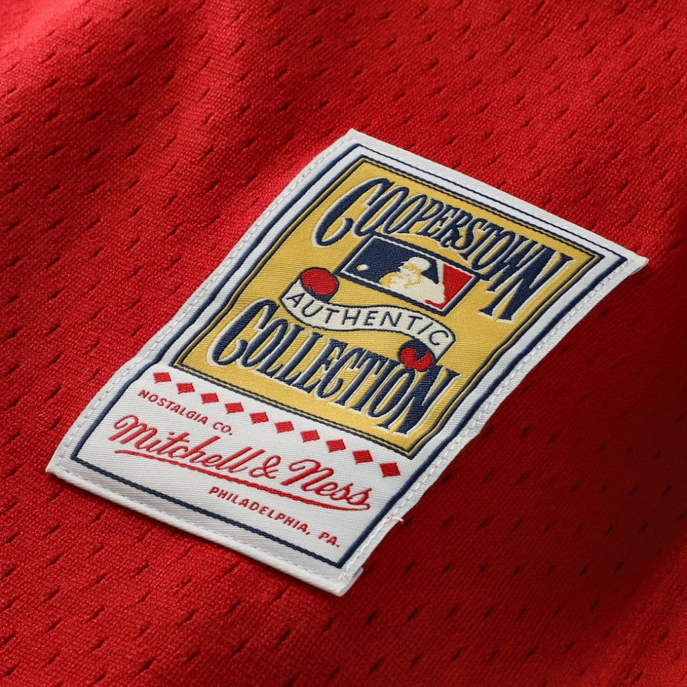 MLB Johnny Bench Cincinnati Reds Mitchell & Ness Authentic Batting Practice Jersey