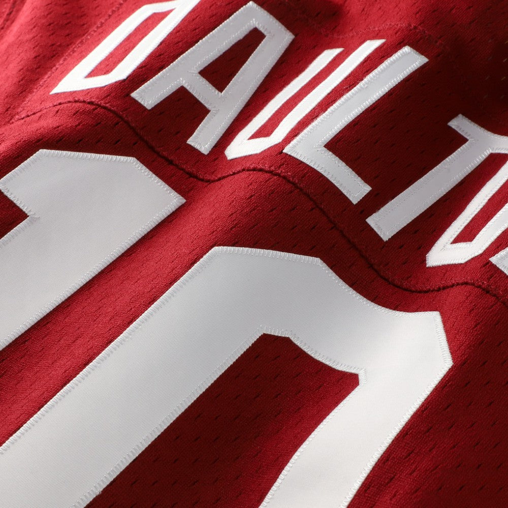 MLB Darren Daulton Philadelphia Phillies Mitchell & Ness Authentic Batting Practice Jersey