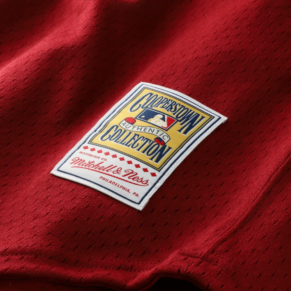 MLB Darren Daulton Philadelphia Phillies Mitchell & Ness Authentic Batting Practice Jersey