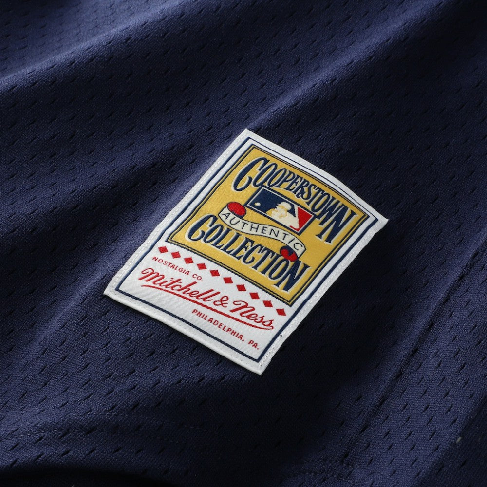 MLB Alan Trammell Detroit Tigers Mitchell & Ness Authentic Batting Practice Jersey
