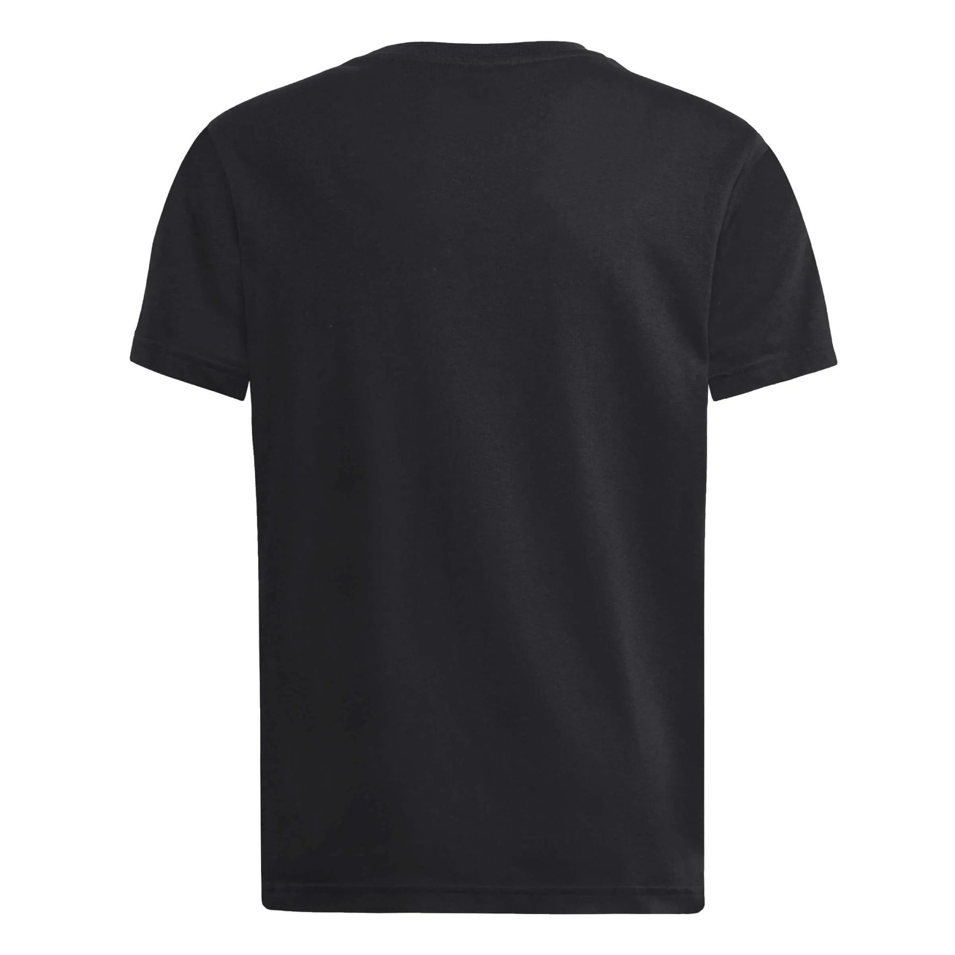 2024-25 Argentina Youth HBR Tee / Adidas