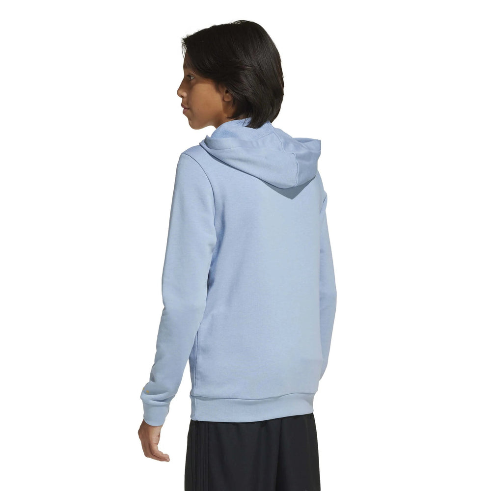 2025-26 Argentina Youth Anniversary DNA Soccer Hoodie  / Adidas