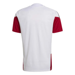 2026 Germany Men's Training Soccer Jersey  / Adidas